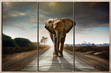 Charger l&#39;image dans la galerie, Wild Elephant Walking Home Art Canvas Eco Leather Print 3 panels