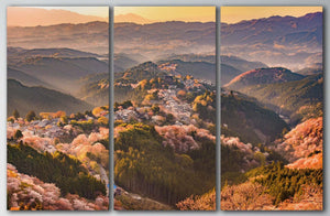 Yoshinoyama Japan cherry blossom in spring home art canvas 3 panels