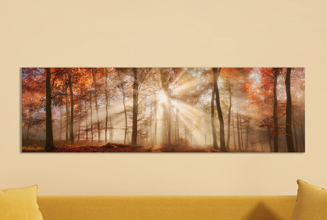 Rays of Sunlight in a Misty Autumn Forest Framed Canvas Eco Leather Print