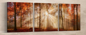 Rays of Sunlight in a Misty Autumn Forest Framed Canvas Eco Leather Print 3 Panels