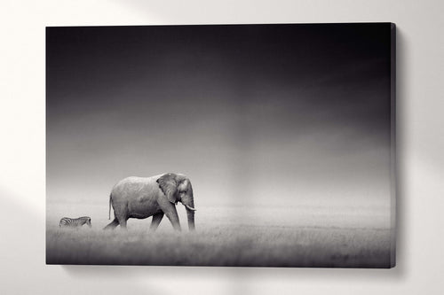 Elephant with zebra in Etosha Africa canvas wall art