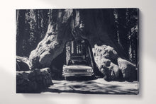 Carica l&#39;immagine nel visualizzatore di Gallery, Vintage Car in Giant Sequoias, Yosemite Black and White Canvas Eco Leather Print single panel