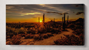 Sunset Arizona Desert Wall Art Eco Leather Canvas Print