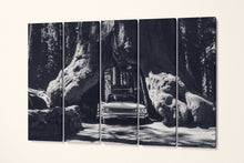 Charger l&#39;image dans la galerie, Vintage Car in Giant Sequoias, Yosemite Black and White Canvas Eco Leather Print 5 panels