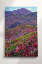 Carica l&#39;immagine nel visualizzatore di Gallery, Alpine Loop, Mount Timpanogos, Cascade Springs, North Central Utah Wall Art Eco Leather Print