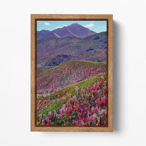 Alpine Loop, Mount Timpanogos, Cascade Springs, North Central Utah Wall Art Eco Leather Print Wood Frame