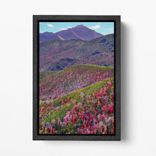 Load image into Gallery viewer, Alpine Loop, Mount Timpanogos, Cascade Springs, North Central Utah Wall Art Eco Leather Print Black Frame