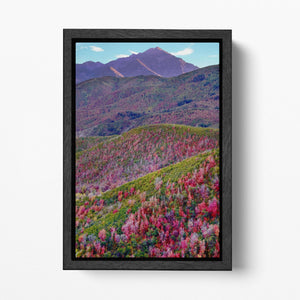 Alpine Loop, Mount Timpanogos, Cascade Springs, North Central Utah Wall Art Eco Leather Print Black Frame