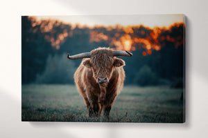 Brown Yak Single Panel Color Canvas Wall Art Eco Leather Print